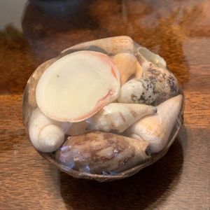 Sea Shell Basket made in Philippines Assorted Seashells